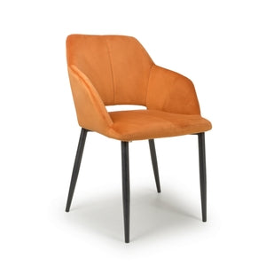 Velvet Burnt Orange