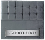 Capricorn (Buttoned)