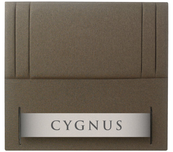 Cygnus