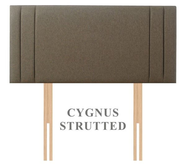 Cygnus