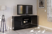 Ebony 2 Door 2 Drawer Sideboard Black