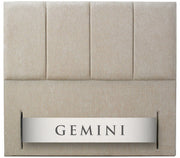 Gemini
