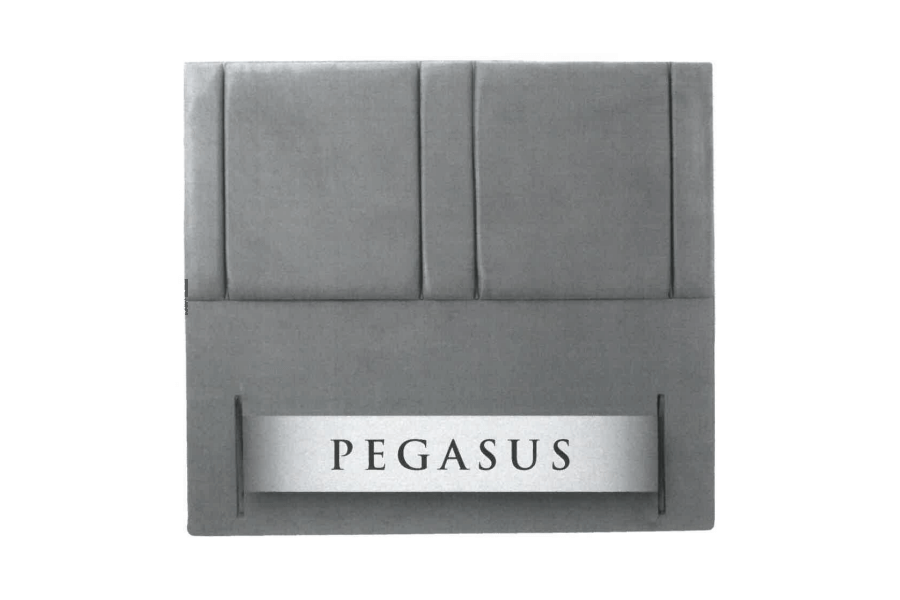 Pegasus