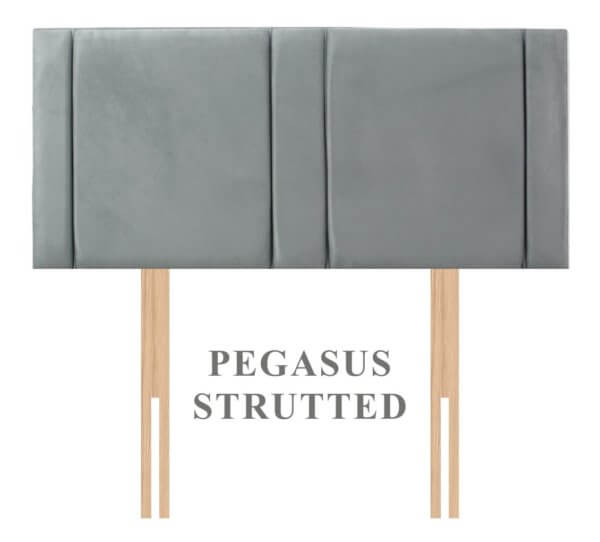 Pegasus
