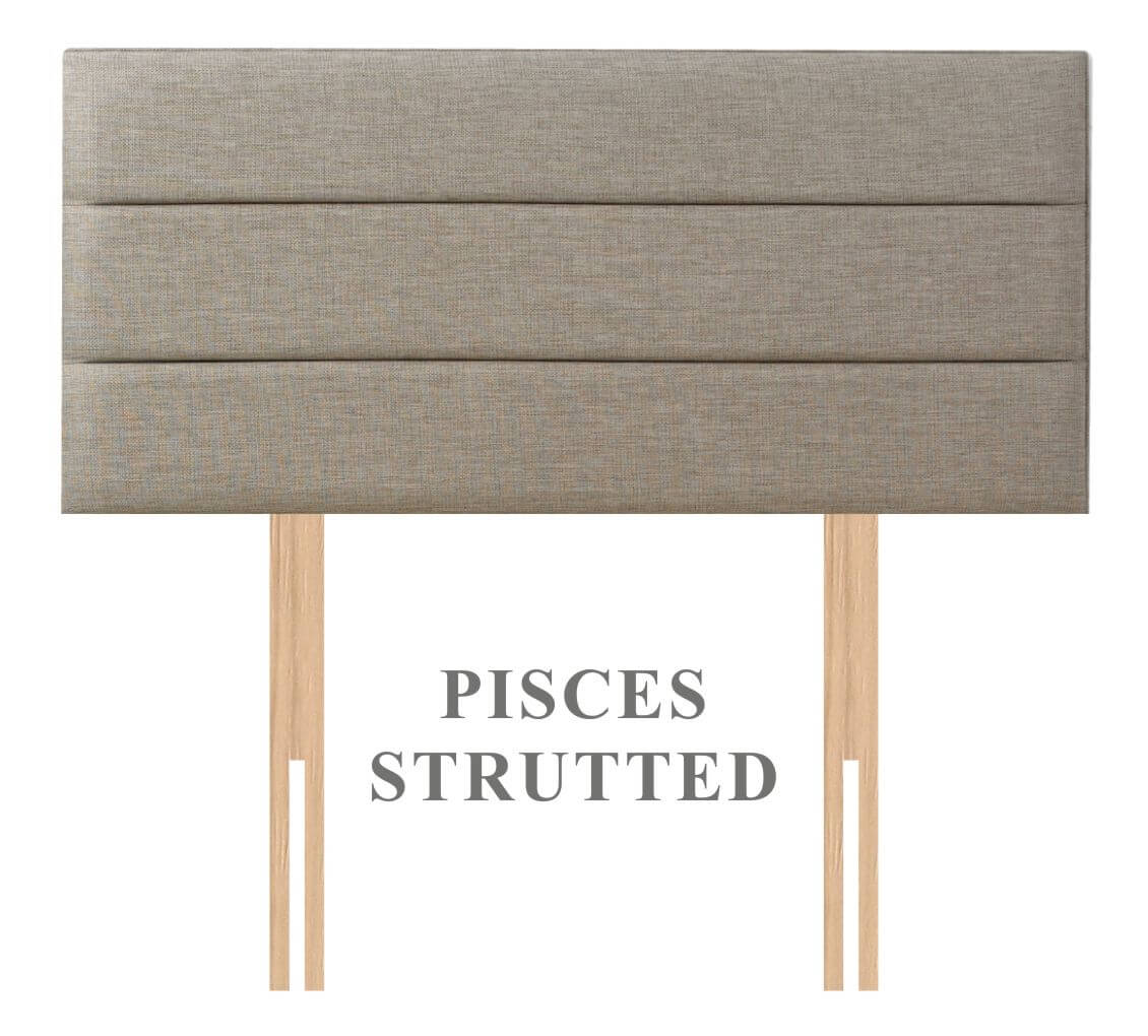 Pisces